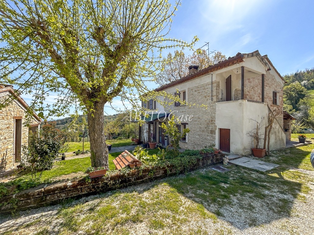 Casale della Vigna