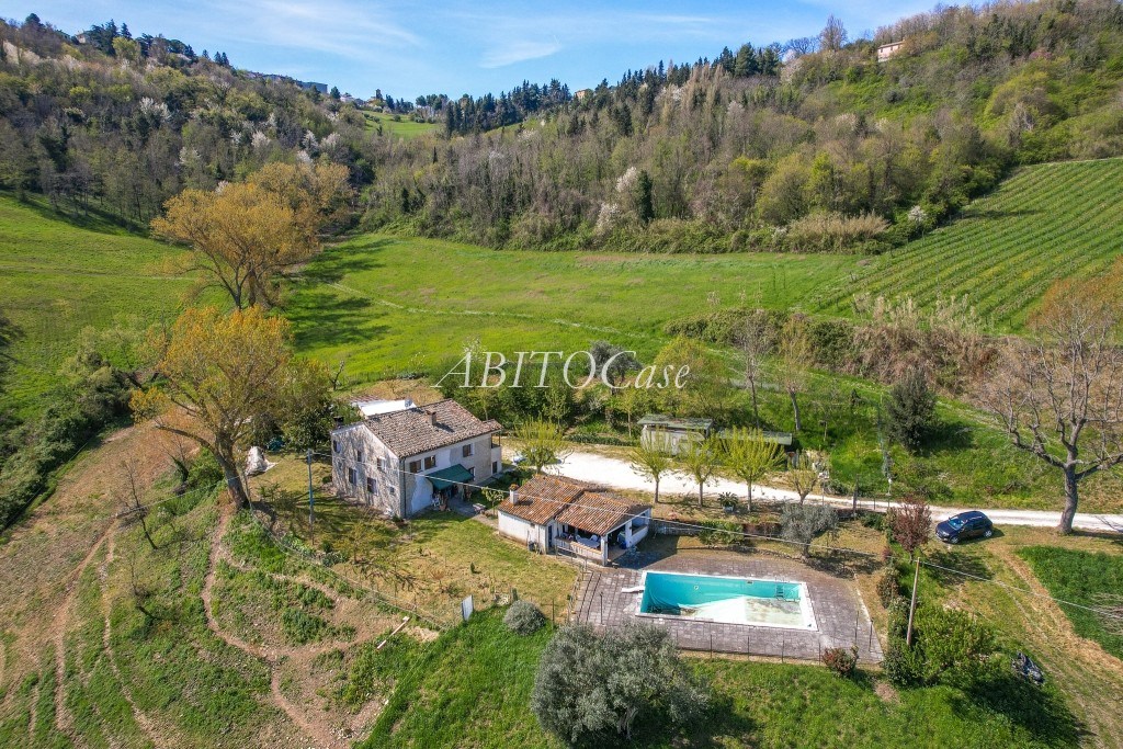 Casale della Vigna