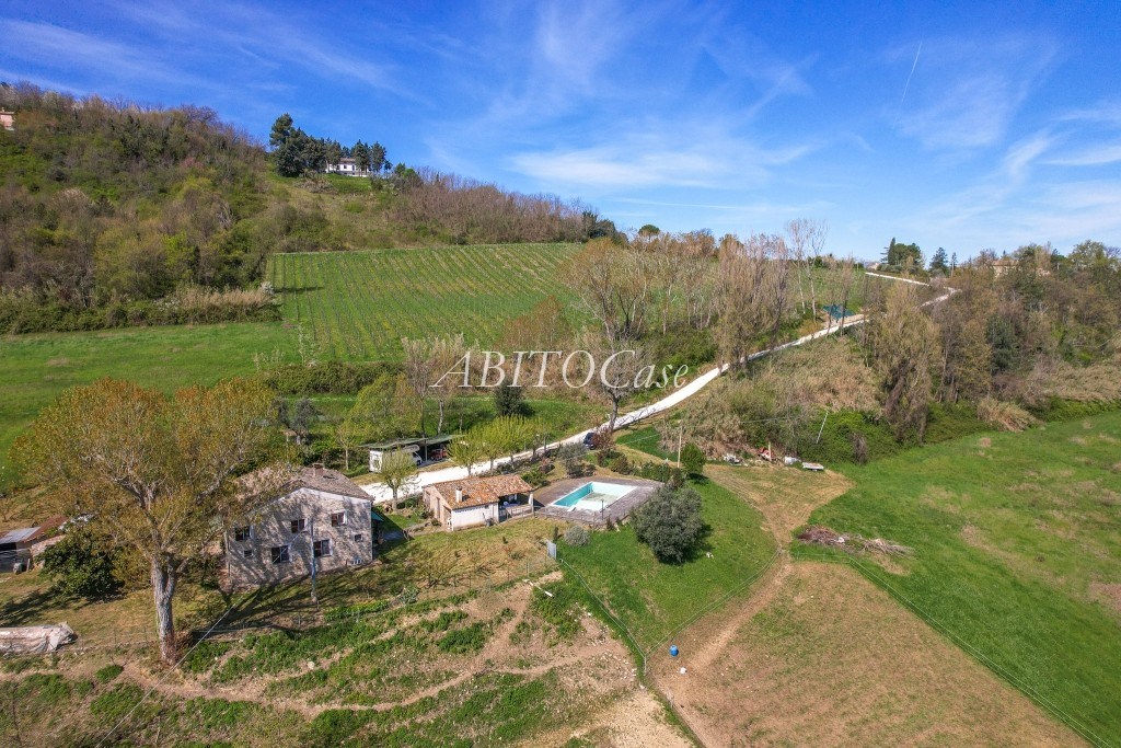 Casale della Vigna