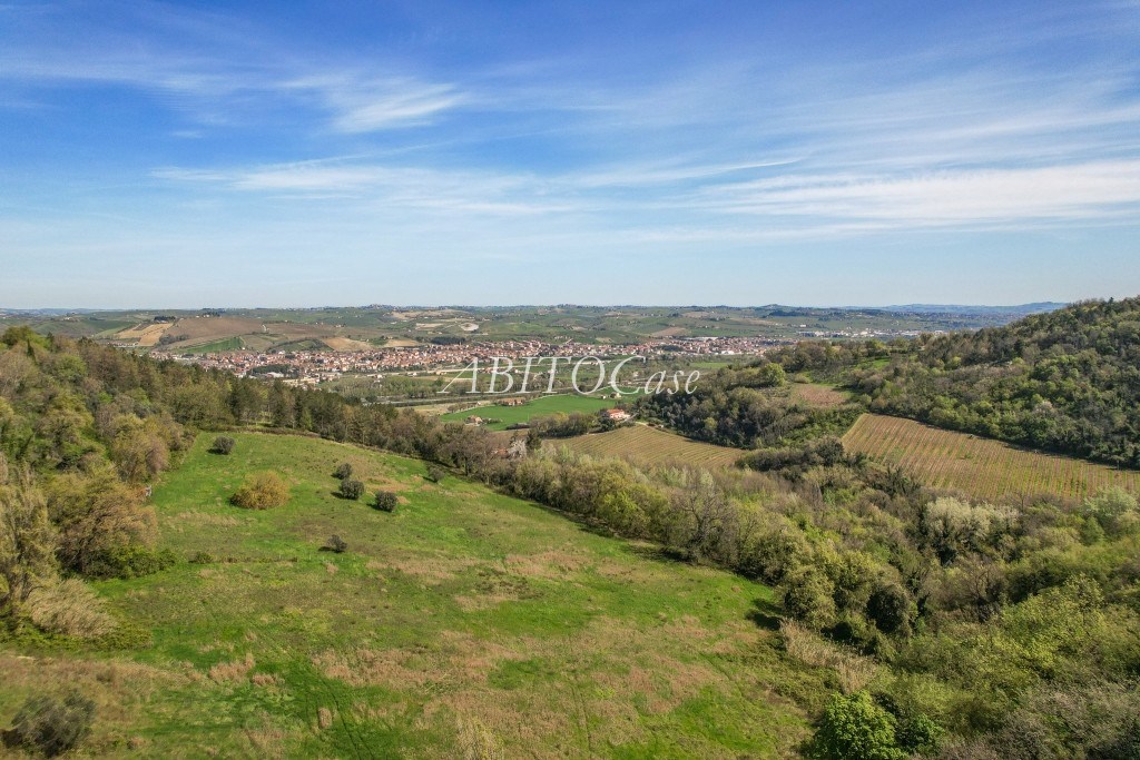 Casale della Vigna