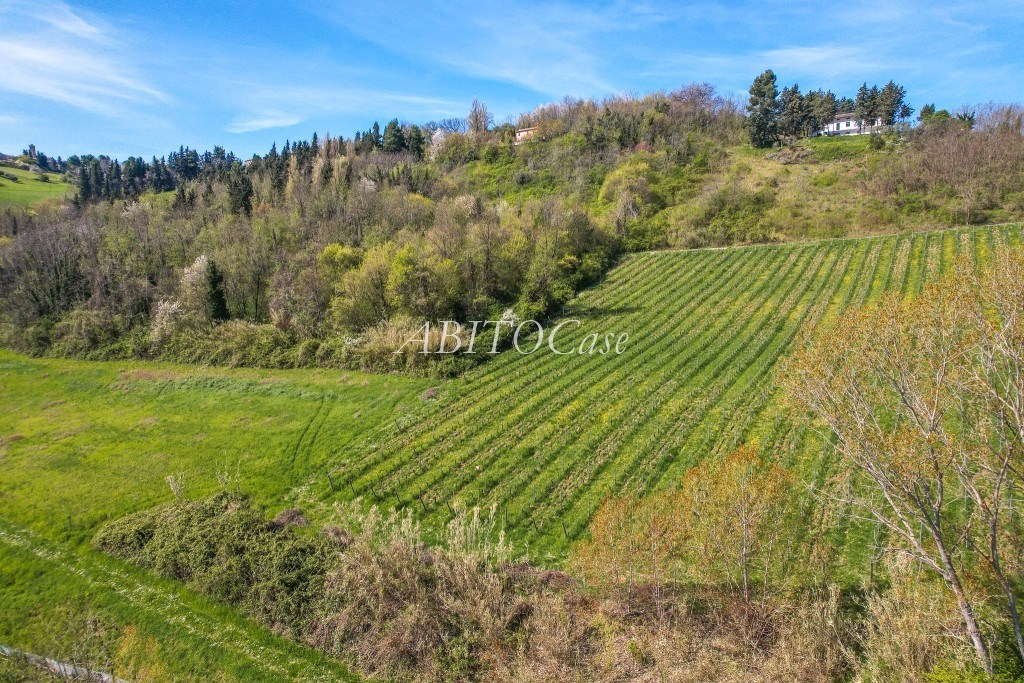 Casale della Vigna